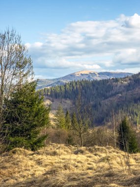 Dağlarda ağaçlar ve yeşil çayırlar olan güzel bahar manzarası
