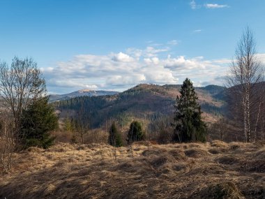 Ağaçlar ve dağlarla dolu sonbahar manzarası