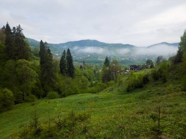 Karpat Dağları 'nın Manzarası