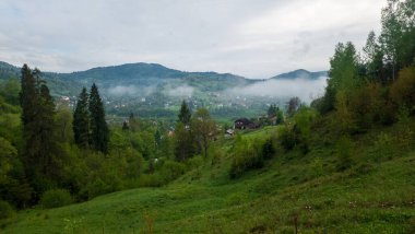 Karpat Dağları 'nın Manzarası