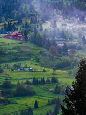 yeşil tarla ve dağlar