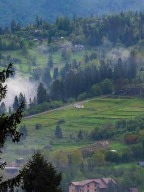 Yeşil çimen ve dağ manzarasının dikey görüntüsü.