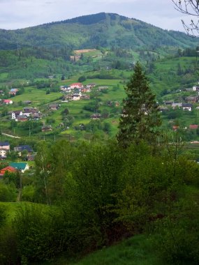 Karpatların dağlarındaki köy..