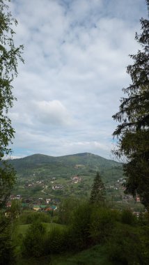 Önünde bir dağ olan güzel yeşil bir ormanın dikey görüntüsü.