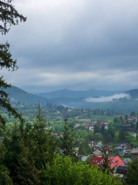 Karpatlar 'da güzel bir yaz manzarası