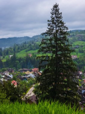 Dağları ve ağaçları olan güzel bir manzara.