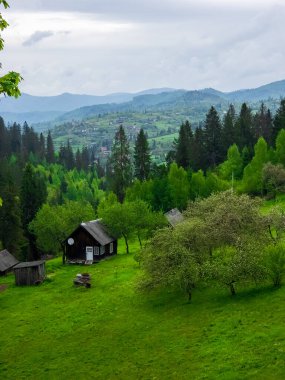 Karpat dağlarının güzel manzarası