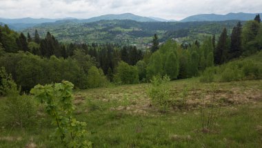 Yazın kara dağların tepesinden manzara, Bulgaria
