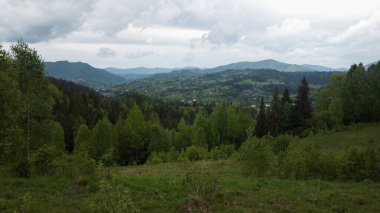 Yazın yeşil çayırları olan güzel bir dağ manzarası