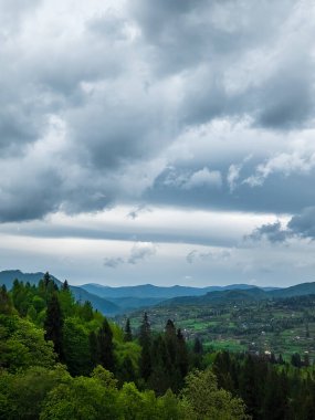 Bulutlu gökyüzünün altındaki yeşil alanın dikey görüntüsü.