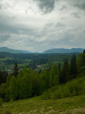 Gökyüzü bulutlu yeşil ormanın dikey görüntüsü.