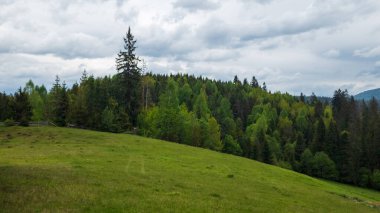 Arkadaki orman ve dağların manzarası..
