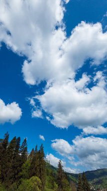 Ağacı ve mavi gökyüzü olan güzel bir manzara.