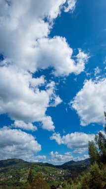 Parkın güzel manzarası