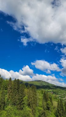 Dağlardaki ağaçların güzel manzarası mavi bulutlu gökyüzünün altında