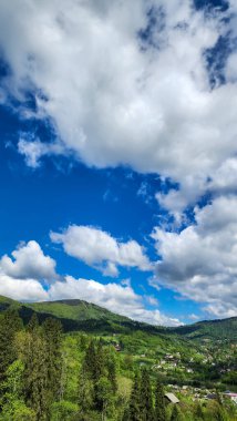 Karpatlar 'daki yeşil dağ köyü manzarası