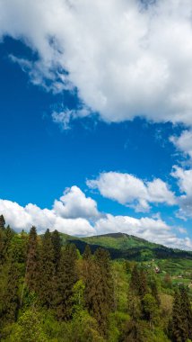 Arkasında bir dağ olan güzel bir manzara.