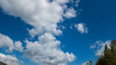 Güzel bir manzara Ağacı ve mavi gökyüzü