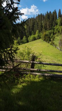 Arkasında ahşap çitler olan güzel bir manzara.