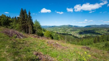 Dağların ve ormanın güzel manzarası