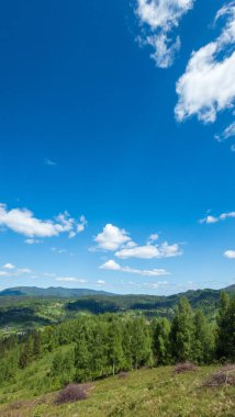 Yeşil tepeleri, ormanı ve dağları olan güzel yaz manzarası.