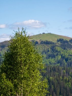 Yeşil ağaçlar ve dağlarla dolu yaz manzarası