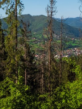 Bulgaria 'daki Rila Dağı' nın yukarısından manzara