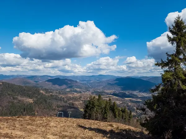 Ukrayna Karpatları 'nda dağın tepesinden manzara
