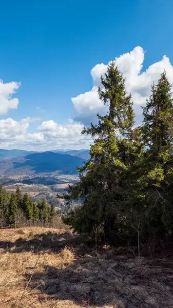 Ukrayna Karpatlarının dağlarının güzel manzarası. güneşli bir gün.