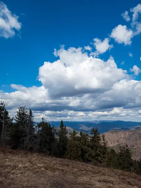 Karpat Ormanı 'nın sıradağları