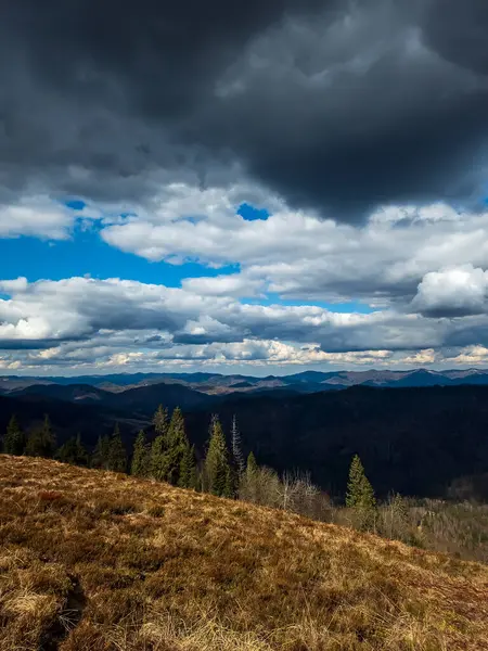 Karanlık sonbahar manzarası Karpatlar 'da bir dağ, Ukrayna