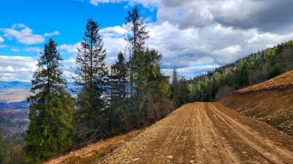 Dağları ve ormanı olan güzel bir manzara.