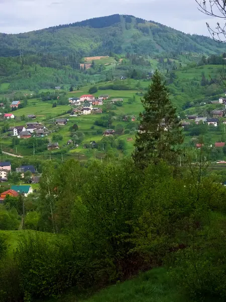 Karpatların dağlarındaki köy..