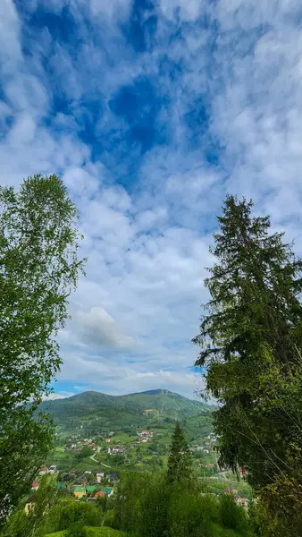 Arkasında bir dağ olan güzel bir manzara.