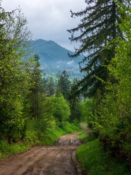 Arkasında yeşil ağaçlar olan güzel bir dağ yolu manzarası.