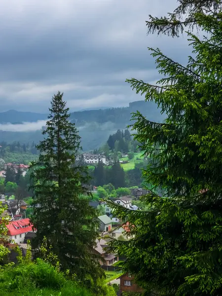İlkbaharda Karpat Dağları Köyü