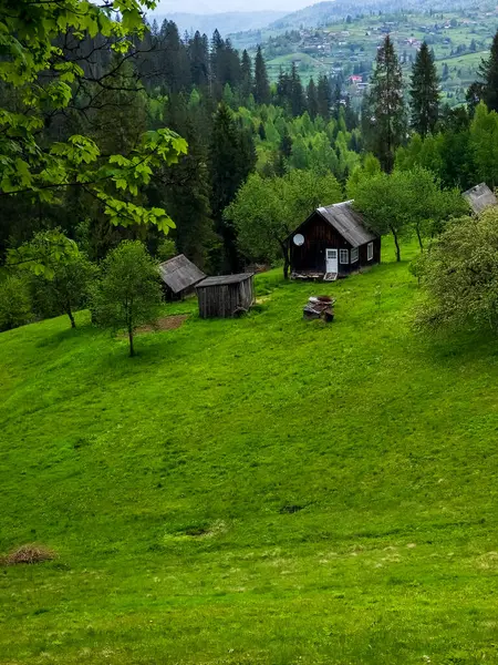 Bir dağ evi olan güzel bir manzara.