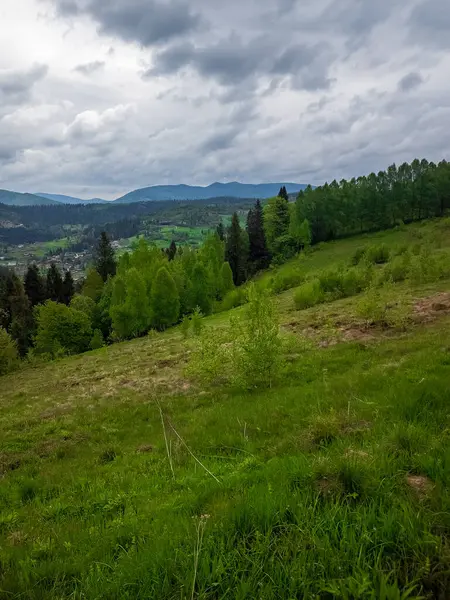 Arkaplanda yeşil orman ve bulutlu gökyüzü