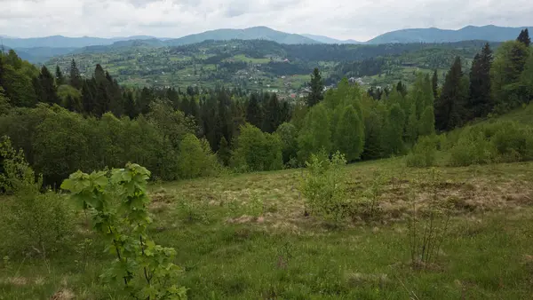 Yazın kara dağların tepesinden manzara, Bulgaria