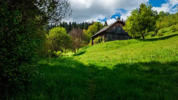 Romanya 'nın Karpat Dağları' ndaki mavi gökyüzünün altında yeşil çimenler ve ağaçlarla çevrili ahşap bir evin güzel bir görüntüsü.