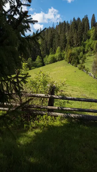 Arkasında ahşap çitler olan güzel bir manzara.