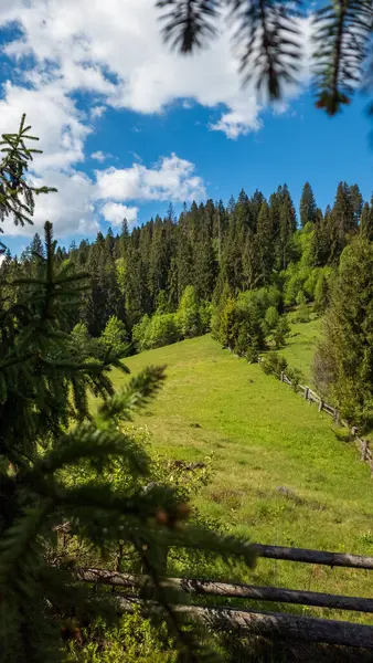 Doğanın güzel manzarası