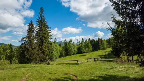 Dağlardaki yeşil çimlerin manzarası. yüksek kaliteli fotoğraf