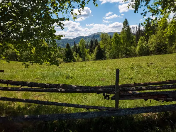 Ahşap çitleri ve mavi bulutlu gökyüzü olan yeşil bir tarlanın güzel bir görüntüsü.