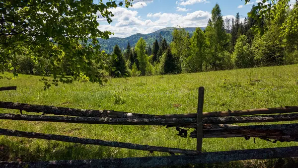 Dağların güzel manzarası