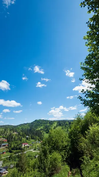 Arkasında bir dağ olan güzel bir manzara.