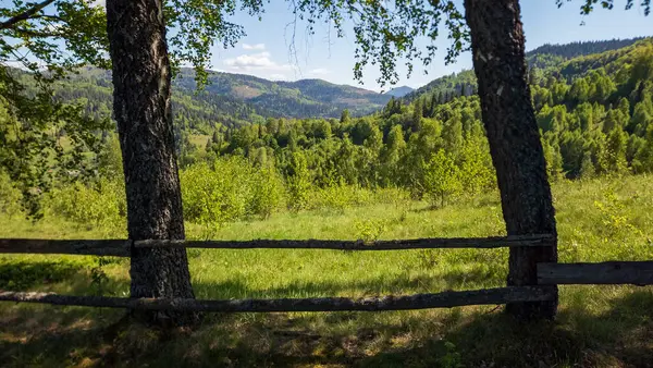 Karpatlar 'ın dağlarından güzel bir manzara.