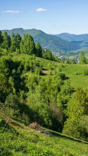 Dağları ve mavi gökyüzü olan yeşil çayır