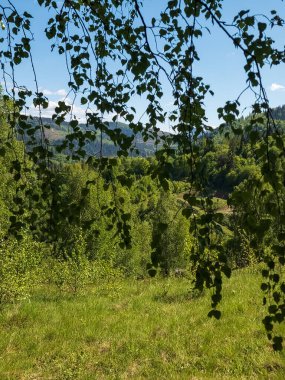 Doğanın güzel manzarası