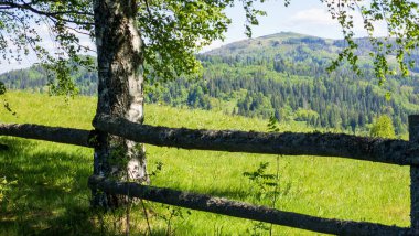 Dağların güzel manzarası
